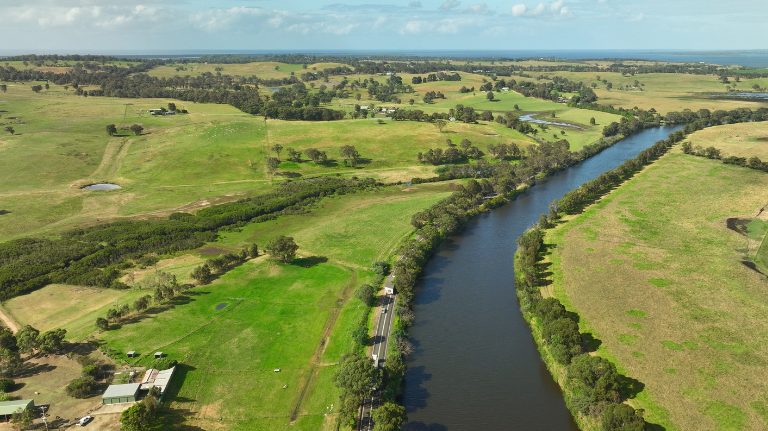 Untitled design (74)